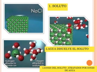 1. SOLUTO 2.AGUA DISUELVE EL SOLUTO 3.IONES DEL SOLUTO  ATRAPADOS POR IONES DE AGUA 