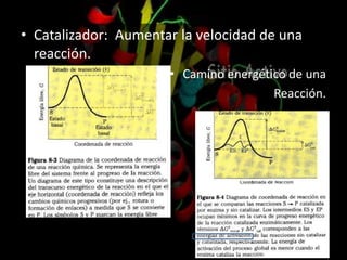 • Catalizador: Aumentar la velocidad de una
reacción.
• Camino energético de una
Reacción.
 