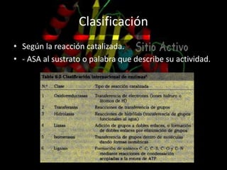 Clasificación
• Según la reacción catalizada.
• - ASA al sustrato o palabra que describe su actividad.
 