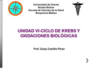 Universidad de Oriente
            Núcleo Bolívar
    Escuela de Ciencias de la Salud
         Bioquímica Médica




UNIDAD VI-CICLO DE KREBS Y
 OXIDACIONES BIOLÓGICAS


        Prof. Zulay Castillo Pérez
 