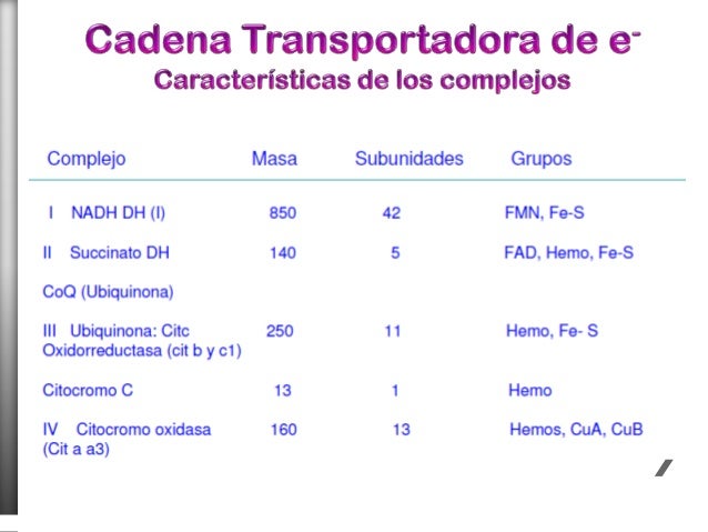 Unidad VI ciclo de krebs y oxidaciones biologicas