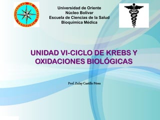 Universidad de Oriente
Núcleo Bolívar
Escuela de Ciencias de la Salud
Bioquímica Médica
UNIDAD VI-CICLO DE KREBS Y
OXIDACIONES BIOLÓGICAS
Prof.ZulayCastilloPérez
 