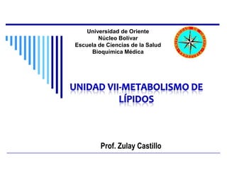 Universidad de Oriente
        Núcleo Bolívar
Escuela de Ciencias de la Salud
     Bioquímica Médica




         Prof. Zulay Castillo
 