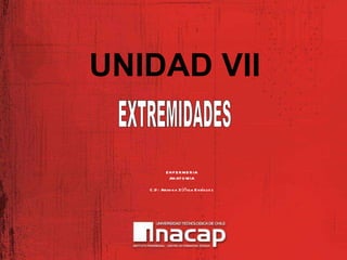 UNIDAD VII ENFERMERIA ANATOMIA C.D: Ariadna Zúñiga Enríquez EXTREMIDADES 