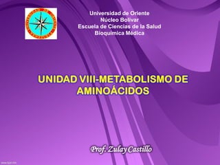 Universidad de Oriente
        Núcleo Bolívar
Escuela de Ciencias de la Salud
     Bioquímica Médica




    Prof. Zulay Castillo
 