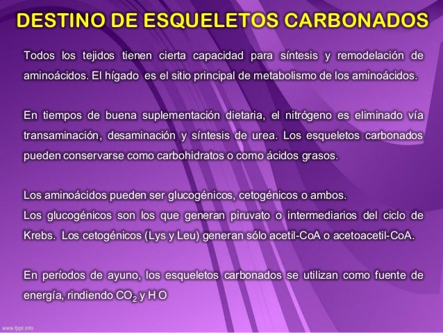métodos eficientes con dieta del metabolismo acelerado antes y despues
