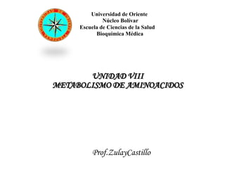 Universidad de Oriente
              Núcleo Bolívar
     Escuela de Ciencias de la Salud
           Bioquímica Médica




       UNIDAD VIII
METABOLISMO DE AMINOACIDOS




          Prof.ZulayCastillo
 