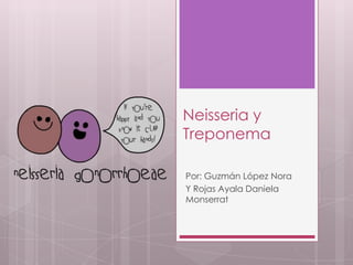 Neisseria y
Treponema
Por: Guzmán López Nora
Y Rojas Ayala Daniela
Monserrat
 