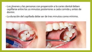 • Los jóvenes y las personas con propensión a la caries dental deben
cepillarse entre los 10 minutos posteriores a cada co...