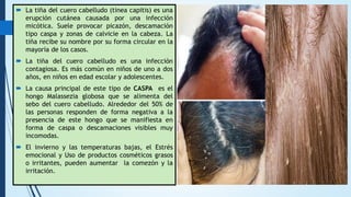Sebo Capities UNIDAD V MICOLOGIA.pdf