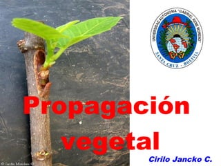 Cirilo Jancko C.
Propagación
vegetal
 