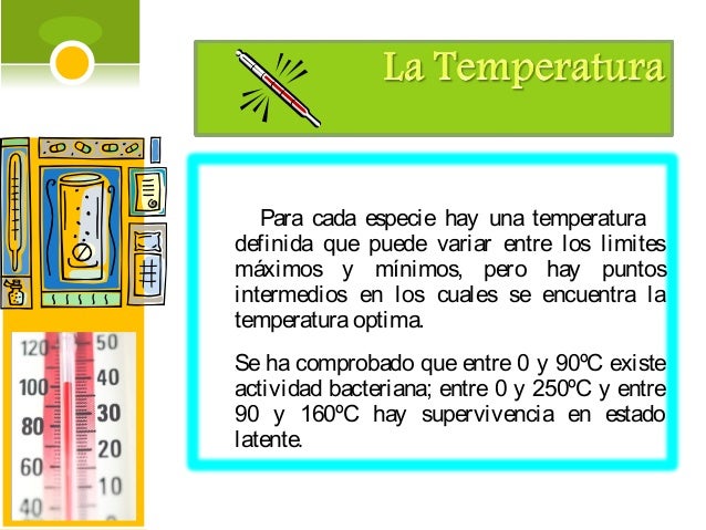 Breve guía de definición de metabolismo