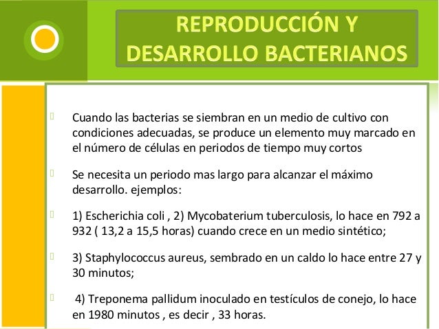 Más sobre Booster de metabolismo