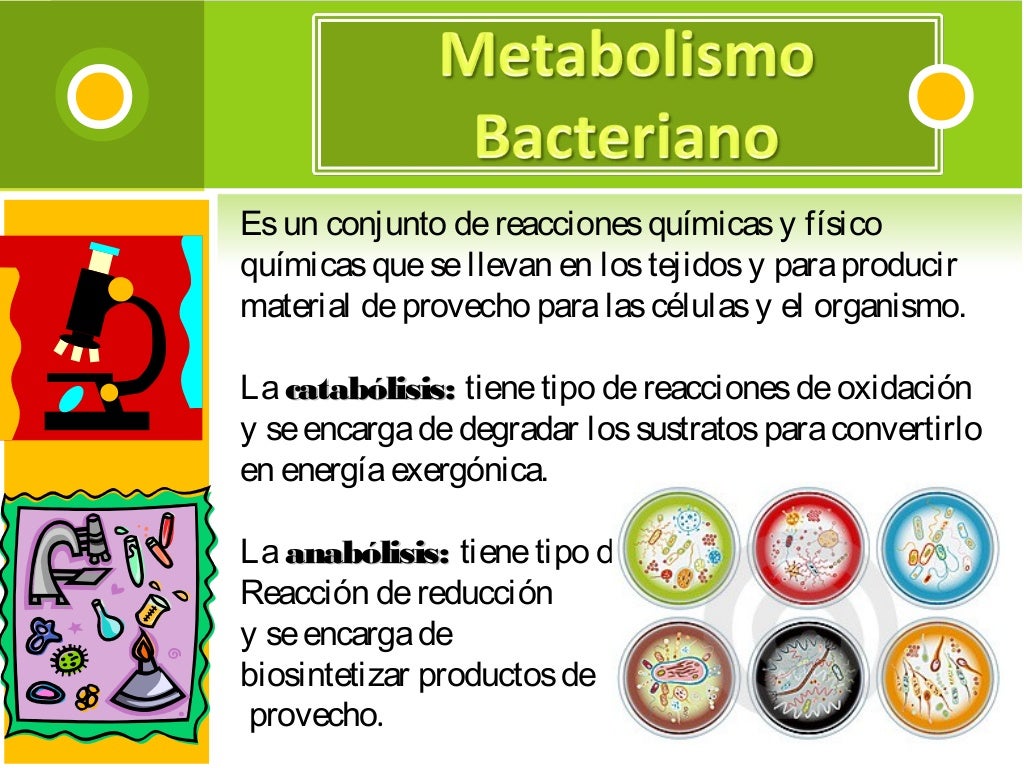 que es la tasa de metabolismo basal seguir en este camino