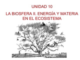 UNIDAD 10
LA BIOSFERA II. ENERGÍA Y MATERIA
EN EL ECOSISTEMA

 