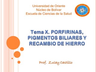 Universidad de Oriente
      Núcleo de Bolívar
Escuela de Ciencias de la Salud




         Prof. Zulay Castillo
 