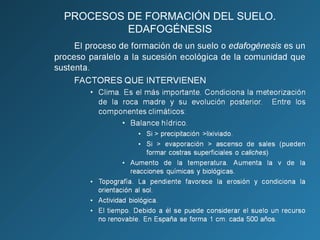 PROCESOS DE FORMACIÓN DEL SUELO.
EDAFOGÉNESIS

 