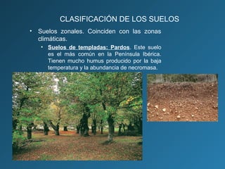 CLASIFICACIÓN DE LOS SUELOS
•

Suelos zonales. Coinciden con las zonas
climáticas.
• Suelos de templadas: Pardos. Este suelo
es el más común en la Península Ibérica.
Tienen mucho humus producido por la baja
temperatura y la abundancia de necromasa.

 