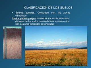 CLASIFICACIÓN DE LOS SUELOS
• Suelos zonales. Coinciden con las zonas
climáticas.
Suelos pardos y rojos. La deshidratación de los óxidos
de hierro de los suelos pardos da lugar a suelos rojos.
Son de zonas templadas continentales.

 