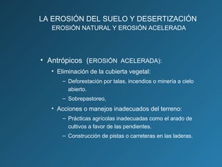 LA EROSIÓN DEL SUELO Y DESERTIZACIÓN
EROSIÓN NATURAL Y EROSIÓN ACELERADA

• Antrópicos (EROSIÓN ACELERADA):
• Eliminación de la cubierta vegetal:
– Deforestación por talas, incendios o minería a cielo
abierto.
– Sobrepastoreo,

• Acciones o manejos inadecuados del terreno:
– Prácticas agrícolas inadecuadas como el arado de
cultivos a favor de las pendientes.
– Construcción de pistas o carreteras en las laderas.

 