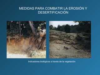 MEDIDAS PARA COMBATIR LA EROSIÓN Y
DESERTIFICACIÓN

Indicadores biológicos a través de la vegetación

 