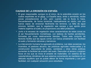 CAUSAS DE LA EROSIÓN EN ESPAÑA
• El gran responsable, aunque no el único, de la extendida erosión en los
suelos españoles es el clima. La España seca, árida o semiárida, recibe
pocas precipitaciones al año, pero cuando cae la lluvia lo hace,
frecuentemente, de forma torrencial, habitualmente en otoño, con una
fuerza capaz de erosionar fácilmente los terrenos. La falta de agua
provoca, también, que la vegetación sea escasa y que aporte poca
materia orgánica al suelo y le proporcione una débil protección.
• Junto a la escasez de vegetación otras características de estas zonas es
el ser frecuentemente montañosas, con laderas de fuertes pendientes,
formadas por rocas relativamente blandas. Todos este conjunto de
factores facilita que las aguas corran con fuerza arrastrando con facilidad
el suelo y formando cárcavas y barrancos.
• La intervención humana ha agravado el problema. Las talas excesivas, los
incendios, el pastoreo abusivo, las prácticas agrícolas inadecuadas y la
construcción descuidada de pistas, carreteras y otras obras públicas
aumentan la facilidad de erosión del suelo. Desnudan el terreno y originan
focos en los que se inicia el arrastre de materiales. Un sistema de las
características climáticas del que estamos comentando se mantiene en un
delicado equilibrio que se puede alterar de forma importante y con gran
facilidad, con cualquier actuación poco estudiada.

 
