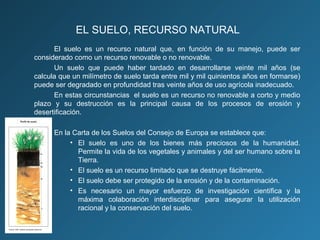 EL SUELO, RECURSO NATURAL
El suelo es un recurso natural que, en función de su manejo, puede ser
considerado como un recurso renovable o no renovable.
Un suelo que puede haber tardado en desarrollarse veinte mil años (se
calcula que un milímetro de suelo tarda entre mil y mil quinientos años en formarse)
puede ser degradado en profundidad tras veinte años de uso agrícola inadecuado.
En estas circunstancias el suelo es un recurso no renovable a corto y medio
plazo y su destrucción es la principal causa de los procesos de erosión y
desertificación.
En la Carta de los Suelos del Consejo de Europa se establece que:
• El suelo es uno de los bienes más preciosos de la humanidad.
Permite la vida de los vegetales y animales y del ser humano sobre la
Tierra.
• El suelo es un recurso limitado que se destruye fácilmente.
• El suelo debe ser protegido de la erosión y de la contaminación.
• Es necesario un mayor esfuerzo de investigación científica y la
máxima colaboración interdisciplinar para asegurar la utilización
racional y la conservación del suelo.

 