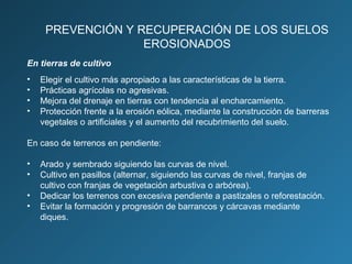 PREVENCIÓN Y RECUPERACIÓN DE LOS SUELOS
EROSIONADOS
En tierras de cultivo
•
•
•
•

Elegir el cultivo más apropiado a las características de la tierra.
Prácticas agrícolas no agresivas.
Mejora del drenaje en tierras con tendencia al encharcamiento.
Protección frente a la erosión eólica, mediante la construcción de barreras
vegetales o artificiales y el aumento del recubrimiento del suelo.

En caso de terrenos en pendiente:
•
•
•
•

Arado y sembrado siguiendo las curvas de nivel.
Cultivo en pasillos (alternar, siguiendo las curvas de nivel, franjas de
cultivo con franjas de vegetación arbustiva o arbórea).
Dedicar los terrenos con excesiva pendiente a pastizales o reforestación.
Evitar la formación y progresión de barrancos y cárcavas mediante
diques.

 