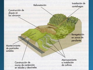 MEDIDAS PARA COMBATIR LA EROSIÓN Y
DESERTIFICACIÓN

 