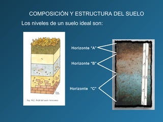 COMPOSICIÓN Y ESTRUCTURA DEL SUELO
Los niveles de un suelo ideal son:

Horizonte “A”

Horizonte “B”

Horizonte “C”

 