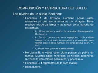COMPOSICIÓN Y ESTRUCTURA DEL SUELO
Los niveles de un suelo ideal son:
• Horizonte A de lixiviado. Contiene pocas sales
minerales ya que son arrastradas por el agua. Tiene
muchos microorganismos y las raíces de la mayoría de
las plantas.
• A0. Hojas caídas y restos de animales descompuestos.
Muchos m.o.
• A1. Oscuro. Humus que forma agregados con la materia
mineral. Le da al suelo su estructura y su capacidad para
retener agua e iones nutritivos de carga positiva (Ca2+, K+,
NH4+).
• A2. Pocos m.o. y mucha materia mineral.

• Horizonte B. A veces color claro porque es pobre en
humus. Muchas sales minerales de niveles superiores
(a veces le dan colores peculiares) y pocos m.o.
• Horizonte C. Fragmentos de la roca madre.
• Roca madre.

 