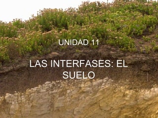 UNIDAD 11

LAS INTERFASES: EL
SUELO

 