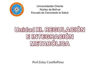 Universidadde Oriente
      Núcleo de Bolívar
Escuela de Cienciasde la Salud




Prof.Zulay CastilloPérez
 