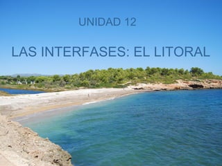 UNIDAD 12

LAS INTERFASES: EL LITORAL

 