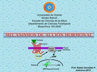 Universidad de Oriente
           Núcleo Bolívar
  Escuela de Ciencias de la Salud
Departamento de Ciencias Fisiológicas
        Bioquímica 153-2026




                                        Prof. Rafael González P
                                                           1
                                             Intensivo-2012
 