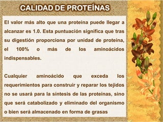 CALIDAD DE PROTEÍNAS
El valor más alto que una proteína puede llegar a
alcanzar es 1.0. Esta puntuación significa que tras
su digestión proporciona por unidad de proteína,
el   100%    o    más     de    los   aminoácidos
indispensables.


Cualquier    aminoácido        que    exceda   los
requerimientos para construir y reparar los tejidos
no se usará para la síntesis de las proteínas, sino
que será catabolizado y eliminado del organismo
o bien será almacenado en forma de grasas
 