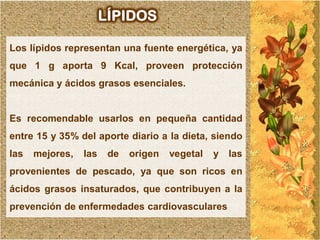 LÍPIDOS

Los lípidos representan una fuente energética, ya
que 1 g aporta 9 Kcal, proveen protección
mecánica y ácidos grasos esenciales.


Es recomendable usarlos en pequeña cantidad
entre 15 y 35% del aporte diario a la dieta, siendo
las   mejores,   las    de   origen   vegetal   y   las
provenientes de pescado, ya que son ricos en
ácidos grasos insaturados, que contribuyen a la
prevención de enfermedades cardiovasculares
 