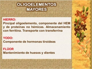 OLIGOELEMENTOS
            MAYORES

HIERRO:
Pincipal oligoelemento, componente del HEM
y de proteínas no hémicas. Almacenamiento
con ferritina. Transporte con transferrina

YODO:
Componente de hormonas tiroideas

FLÚOR
Mantenimiento de huesos y dientes
 
