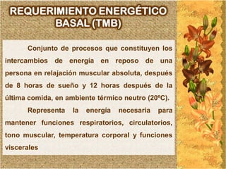 REQUERIMIENTO ENERGÉTICO
        BASAL (TMB)

      Conjunto de procesos que constituyen los
intercambios de energía en reposo de una
persona en relajación muscular absoluta, después
de 8 horas de sueño y 12 horas después de la
última comida, en ambiente térmico neutro (20ºC).
      Representa    la   energía   necesaria   para
mantener funciones respiratorios, circulatorios,
tono muscular, temperatura corporal y funciones
viscerales
 