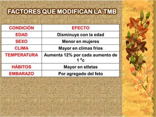 FACTORES QUE MODIFICAN LA TMB

 CONDICIÓN                EFECTO
   EDAD            Disminuye con la edad
   SEXO              Menor en mujeres
   CLIMA            Mayor en climas frios
TEMPERATURA   Aumenta 12% por cada aumento de
                           1 ⁰c
  HÁBITOS             Mayor en etletas
 EMBARAZO           Por agregado del feto
 