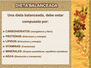 DIETA BALANCEADA

    Una dieta balanceada, debe estar
                compuesta por:

 CARBOHIDRATOS (energéticos y fibra)
 PROTEÍNAS (Estructura y energía)
 LÍPIDOS (Estructura y energía)
 VITAMINAS (Coenzimas)
 MINERALES (Grupos prostéticos, equilibrio osmótico)
 AGUA (Disolución y transporte)
 