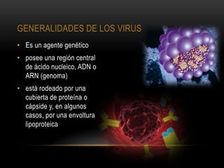 • Es un agente genético
• posee una región central
de ácido nucleico, ADN o
ARN (genoma)
• está rodeado por una
cubierta de proteína o
cápside y, en algunos
casos, por una envoltura
lipoproteica
GENERALIDADES DE LOS VIRUS
