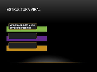 virion: ADN o Arn y una
envoltura proteinica
ESTRUCTURA VIRAL