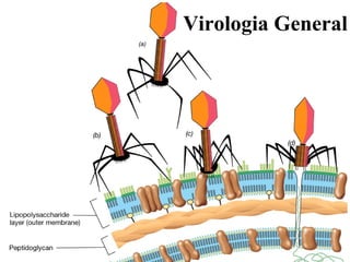 Virologia General
 