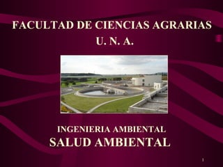 1
FACULTAD DE CIENCIAS AGRARIAS
U. N. A.
INGENIERIA AMBIENTAL
SALUD AMBIENTAL
 
