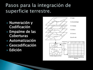    Numeración y
    Codificación
   Empalme de las
    Coberturas
   Automatización
   Geocodificación
   Edición
 