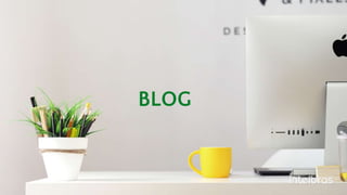 BLOG
 