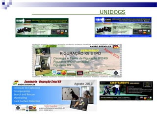 UNIDOGS
 