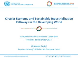 Circular Economy and Sustainable Industrialization
Pathways in the Developing World
European Economic and Social Committee
Brussels, 21 November 2017
Christophe Yvetot
Representative of UNIDO to the European Union
 