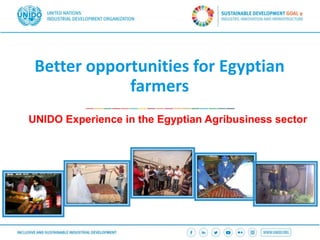 Better opportunities for Egyptian
farmers
UNIDO Experience in the Egyptian Agribusiness sector
 